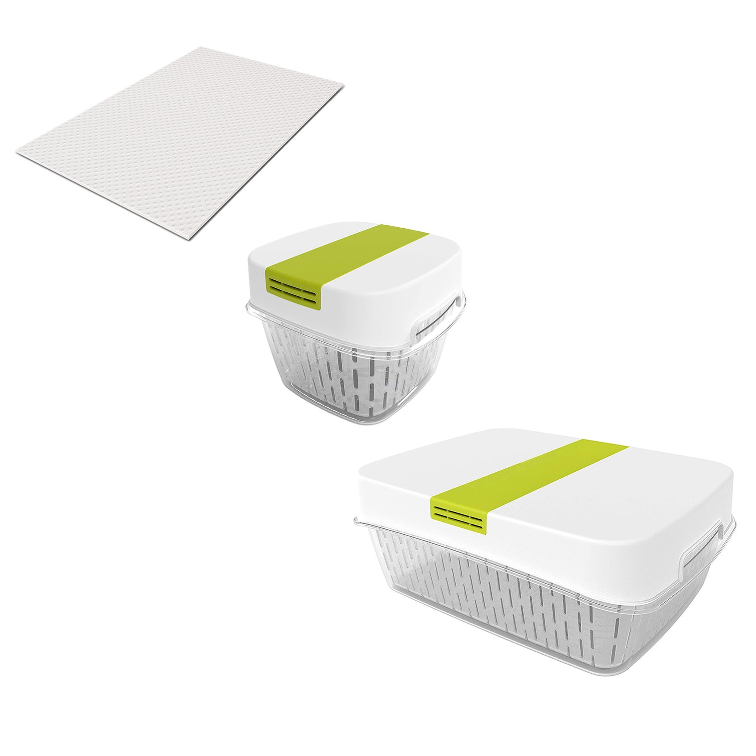 Dynamic Container Set | FRESH