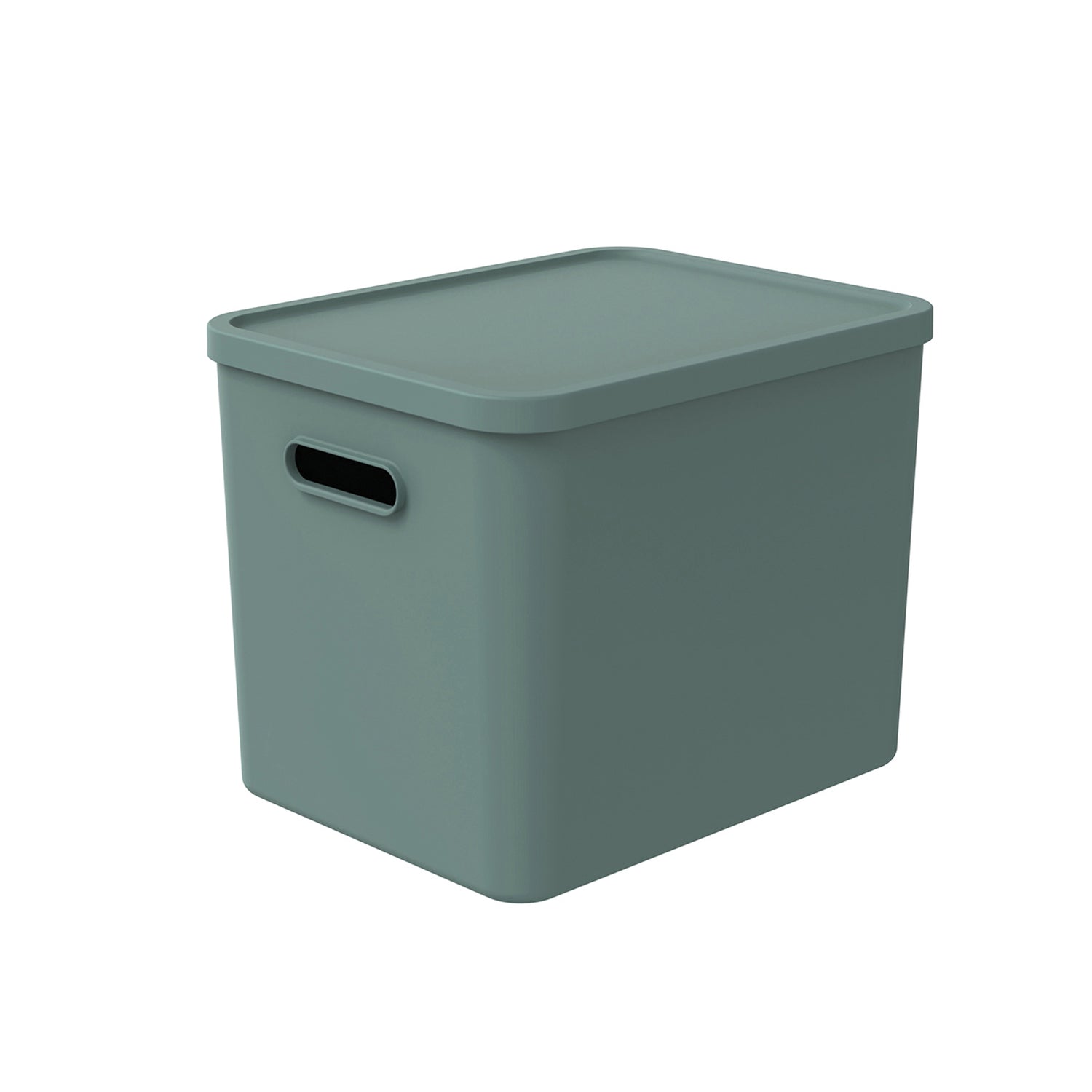 Boxes ALBULA 27l by Rotho