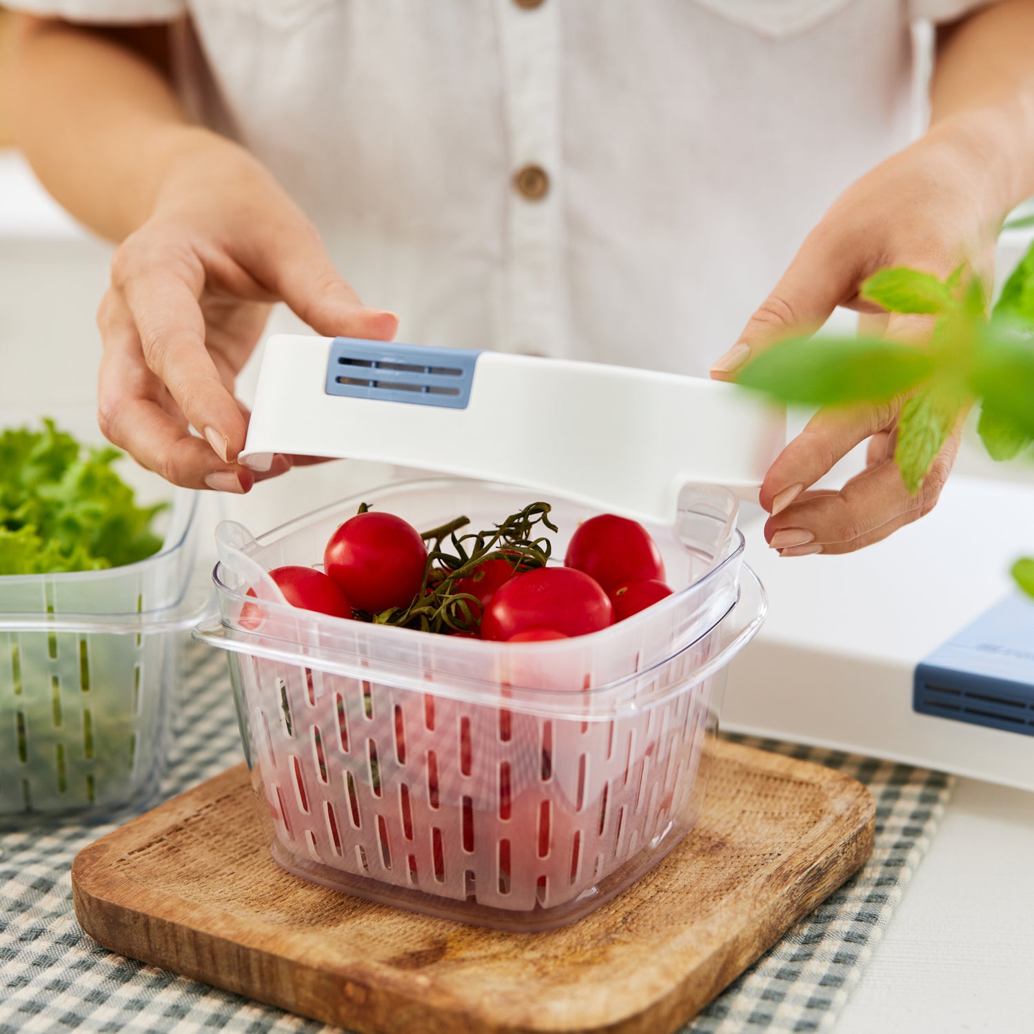 Dynamic Frischeboxen 1,6 L mit 4er-Filter