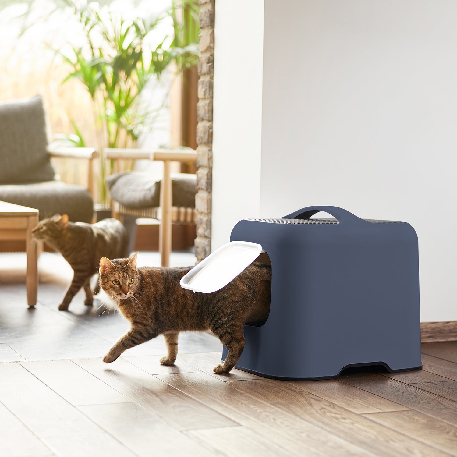 Katzentoilette Bea SplashGuard Pro
