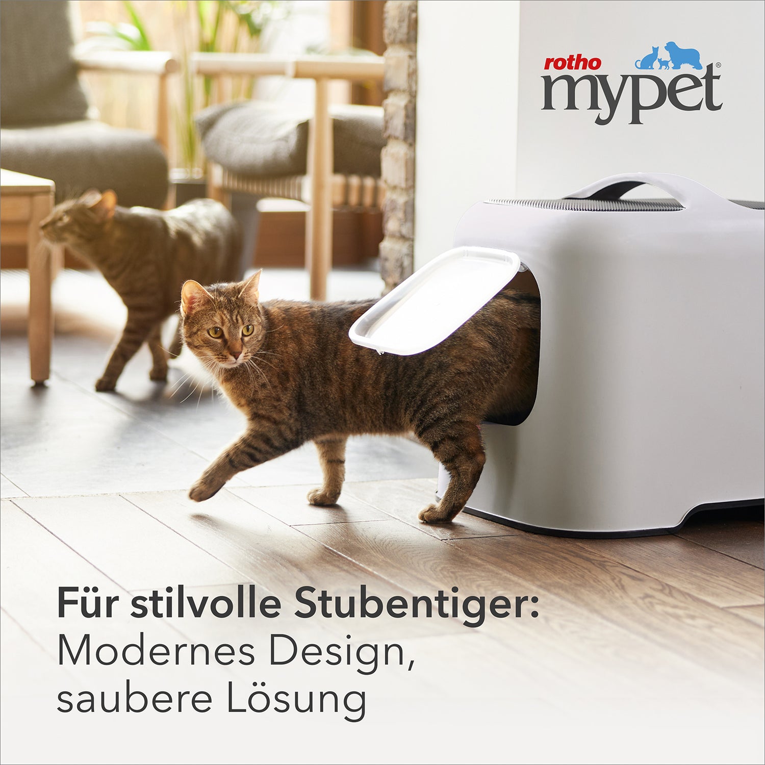 Katzentoilette  Bea