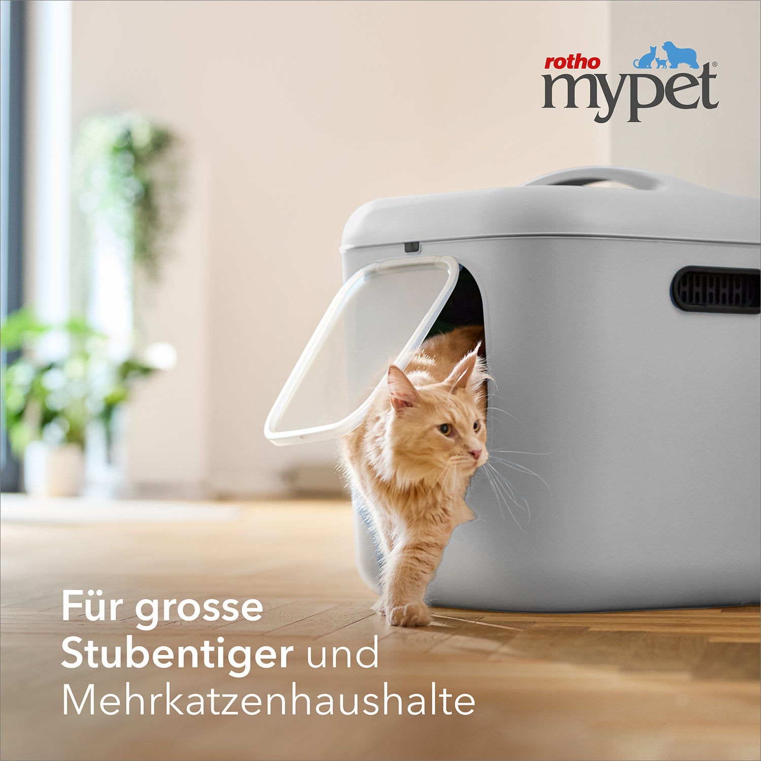 Katzentoilette Bea XL