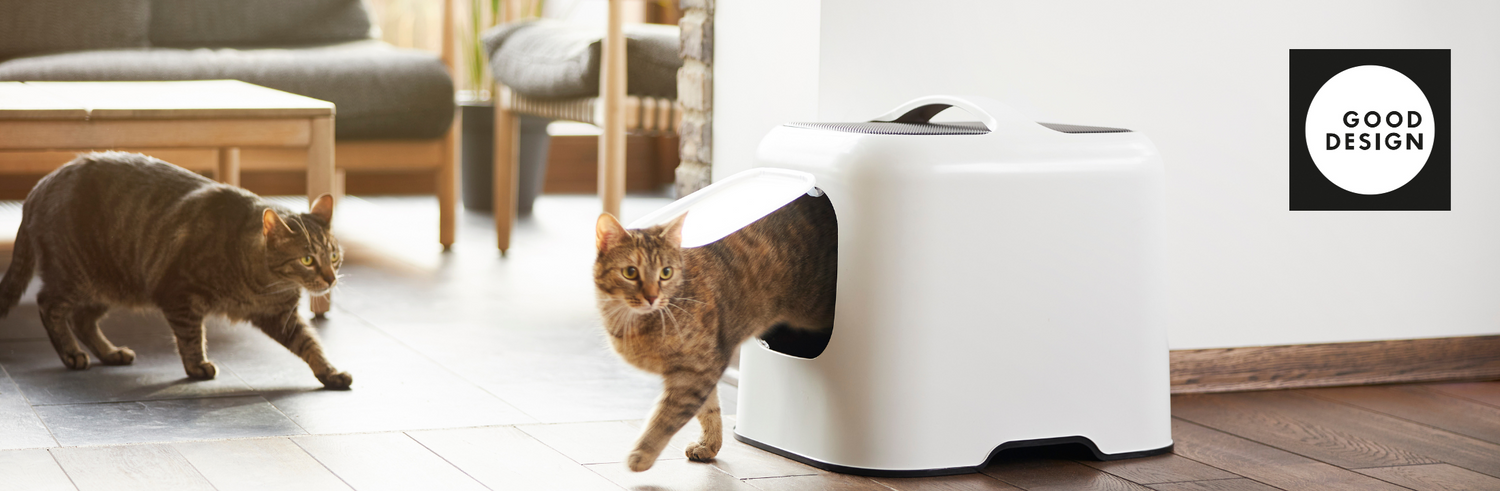 Katzentoilette Biala gewinnt Good Design Award