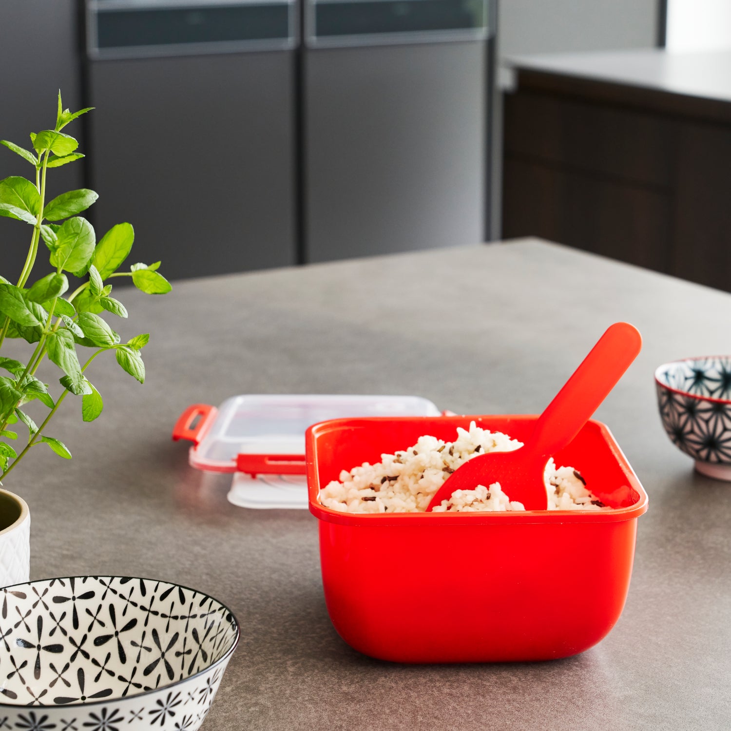 Rice Stove 2.5L l MEMORY MICROWAVE