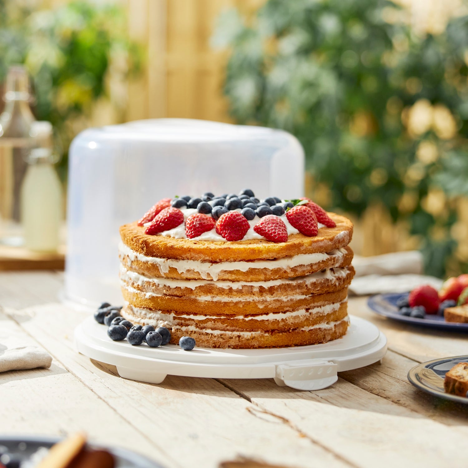 XL Cake Box, 26cm l FRESH