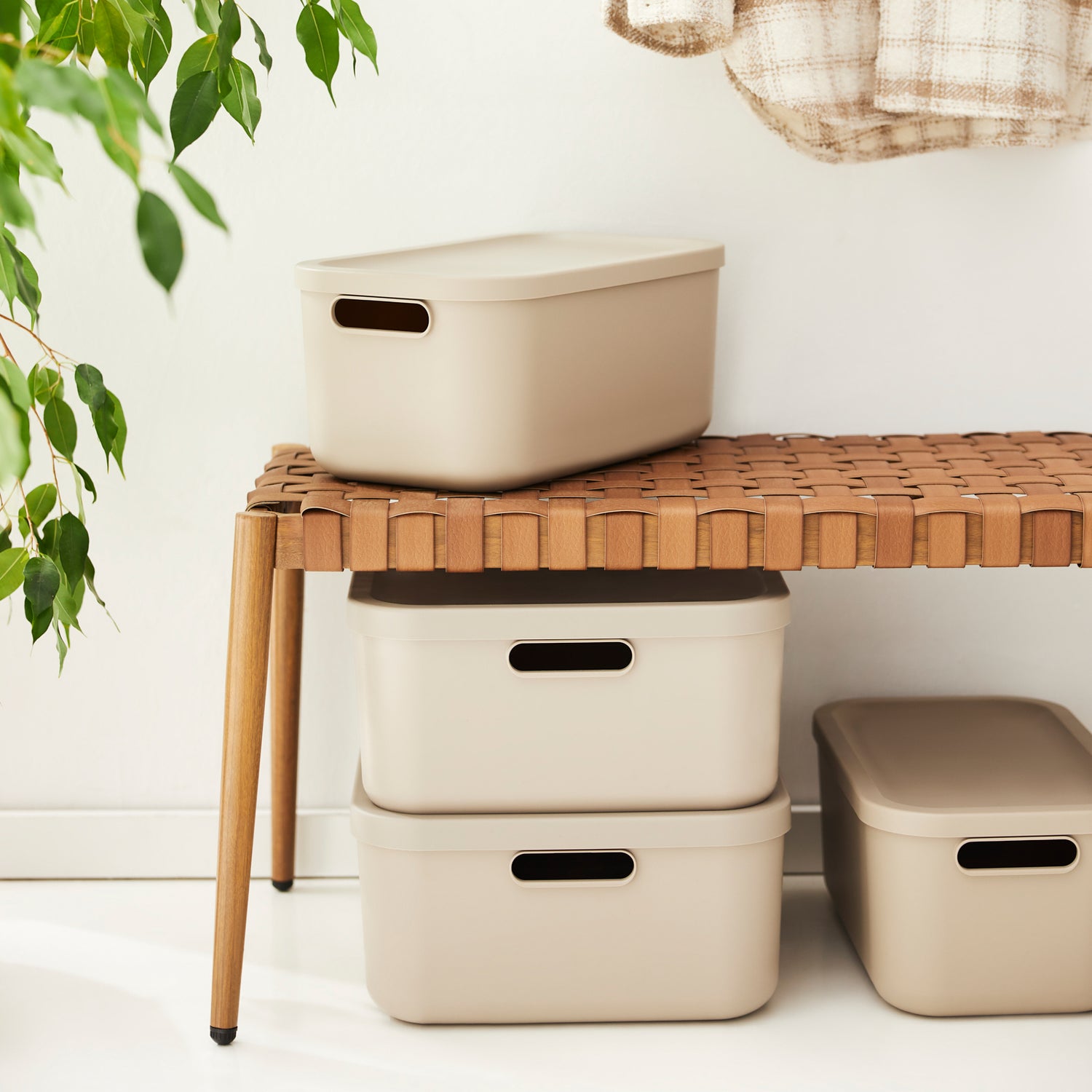 Aufbewahrungsboxen-Set 5tlg. 4x 12l und 1x 55l ALBULA LIGHT