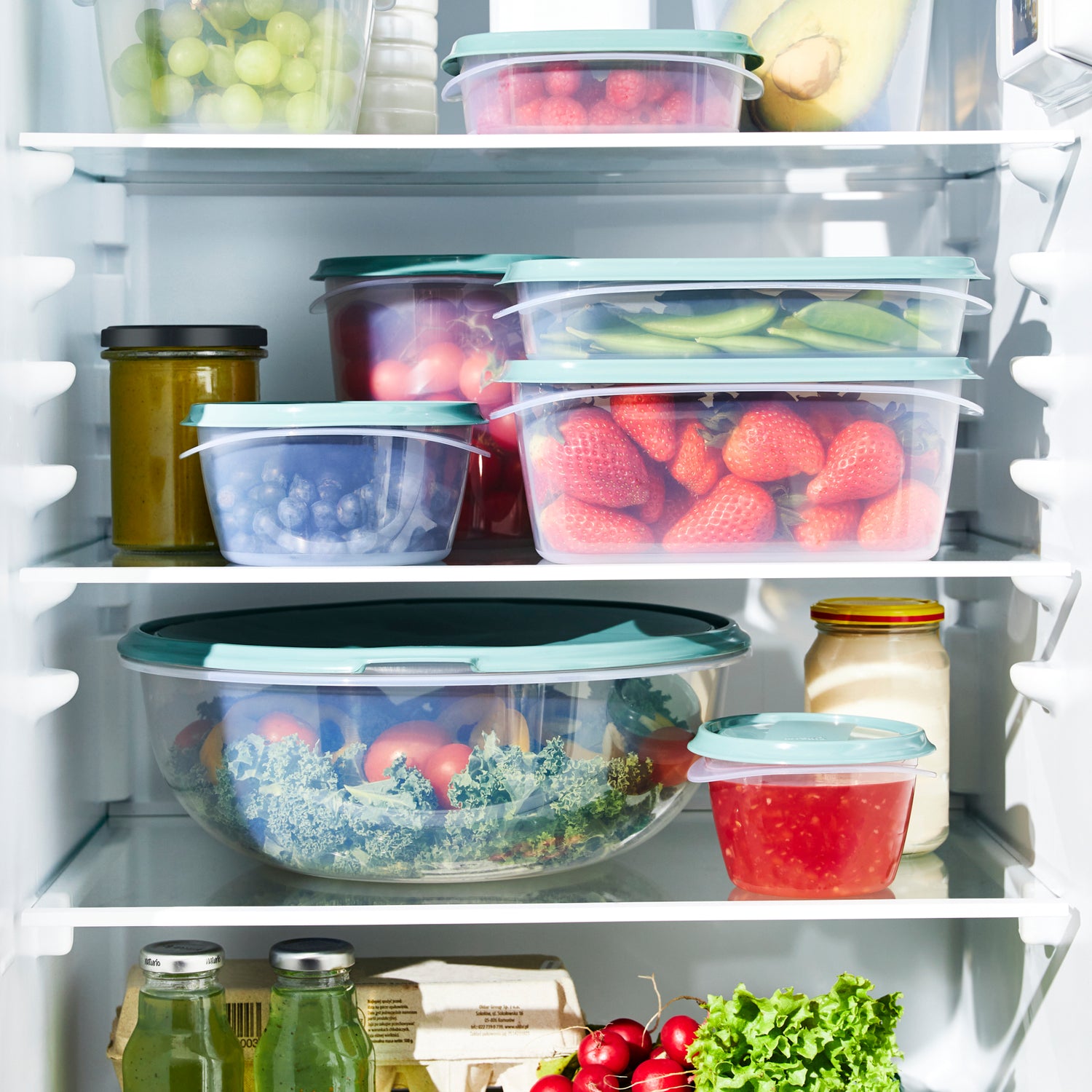 Set de boîtes de conservation 5 pcs. ELEMENTS