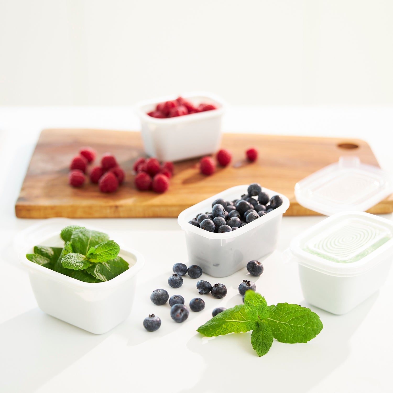 Zestaw pojemników do mrożenia 6 x 0.25l Rotho FREEZE