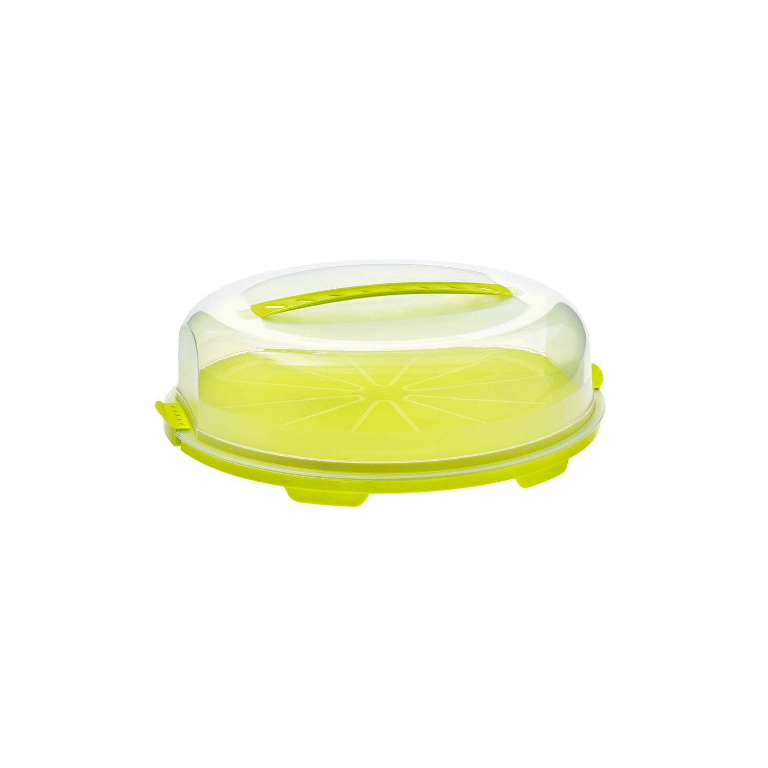 Flat Cake Box incl. Handle l FRESH