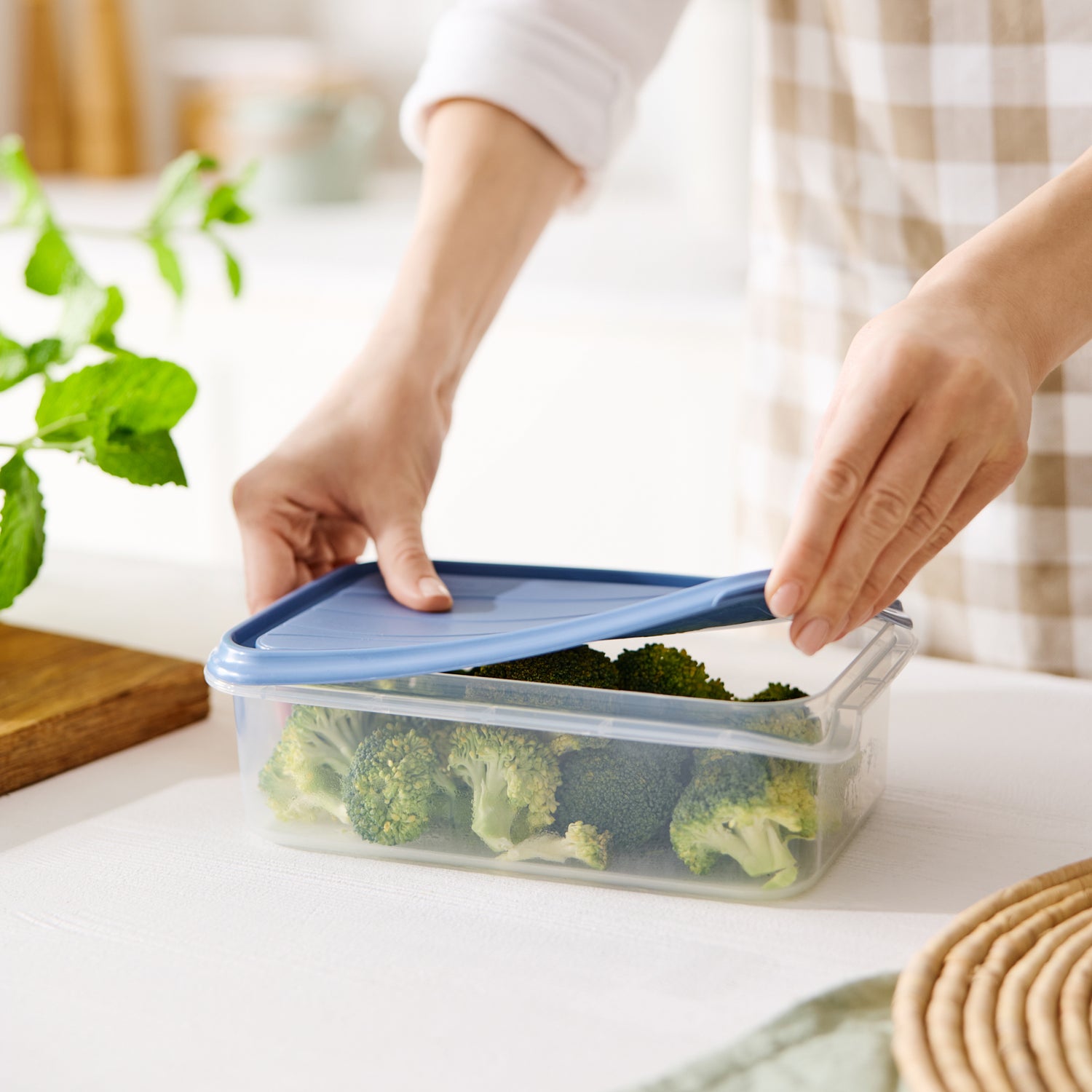 Kühlschrankdose eckig 1,5 l RONDO