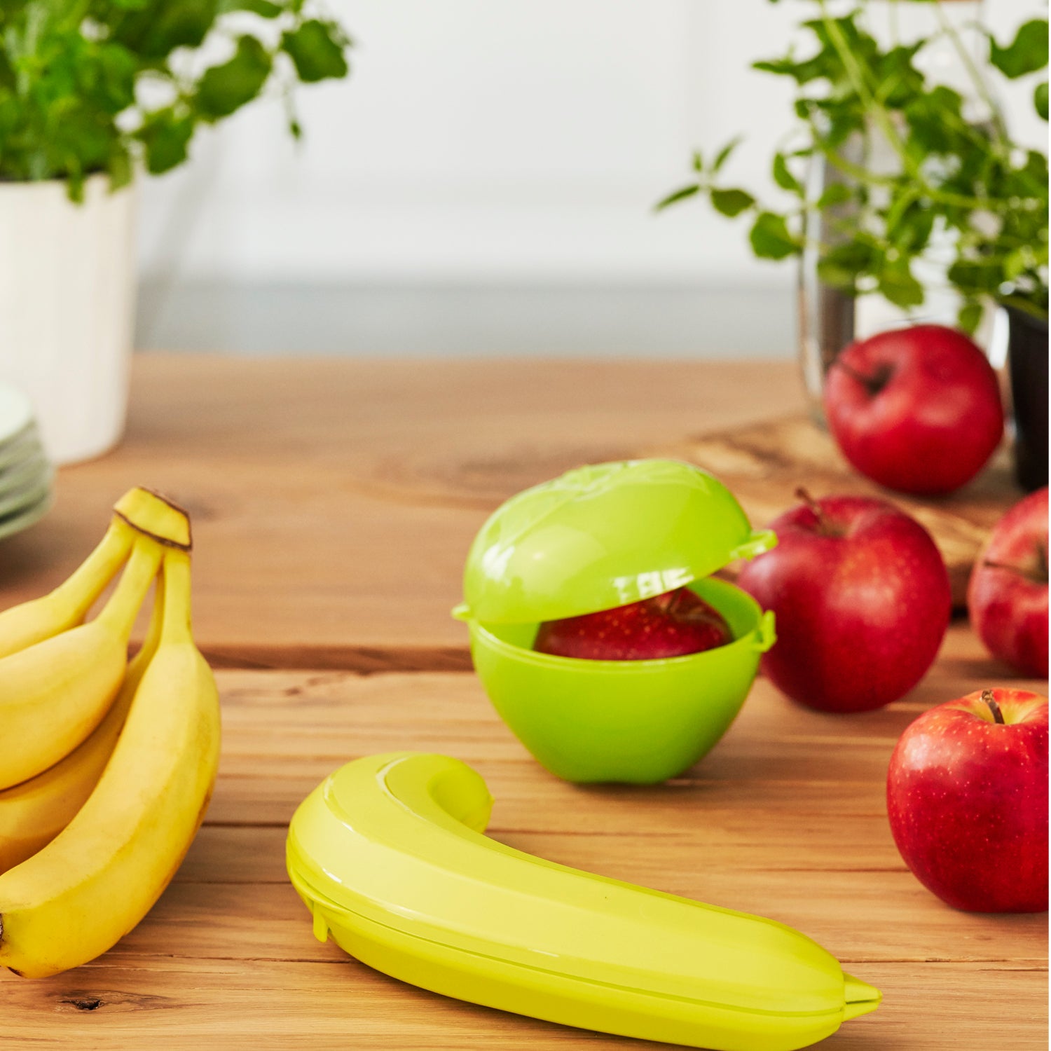 Fruit Container Set x2 l FUN